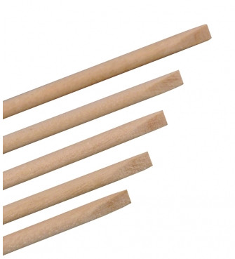 Narancsfa pálcika (10db)