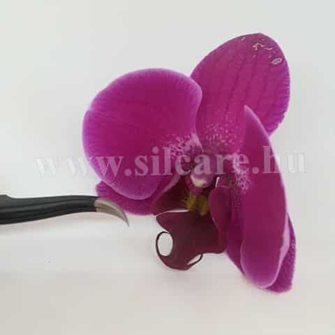 Vetus csipesz ESD-15