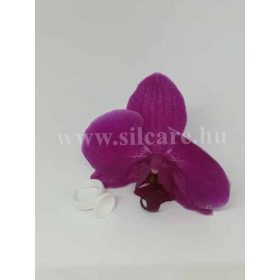 Ragasztó tartó gyűrű 5db - kicsi