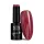 NTN Premium New - 102