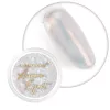 Moyra Mirror powder 1g No. 08. Clear