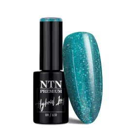 NTN Premium New - 45