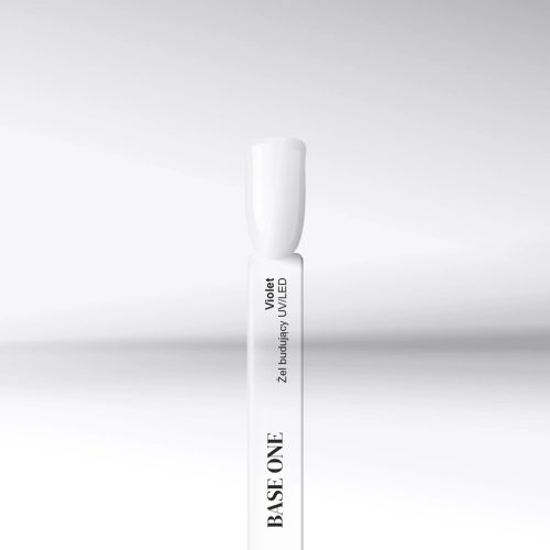 Silcare Base One Violet 50g