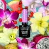 Claresa Tropical Escape 4