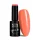 NTN Premium New - 152