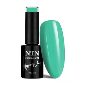 NTN Premium New - 163