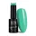 NTN Premium New - 163