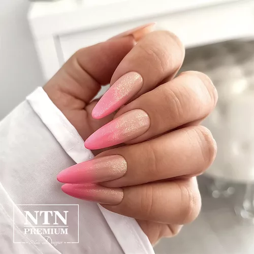 NTN Premium New - 92
