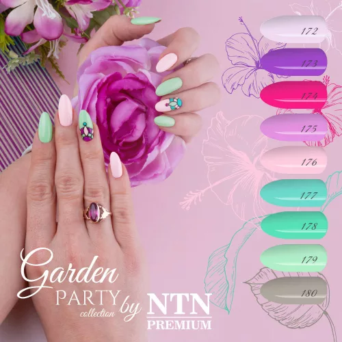NTN Premium New - 179