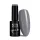 NTN Premium New - 202