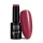 NTN Premium New - 207