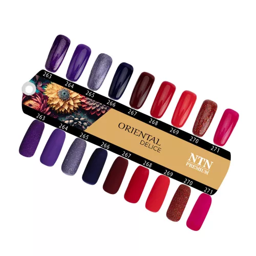 NTN Premium New Oriental Delice - 270