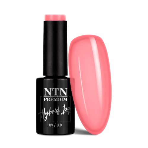 NTN Premium New - Viral Colors 291