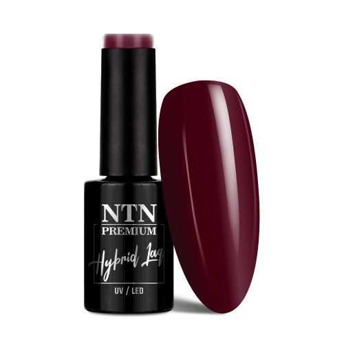 NTN Premium New - Viral Colors 297