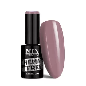 NTN Premium New - 24