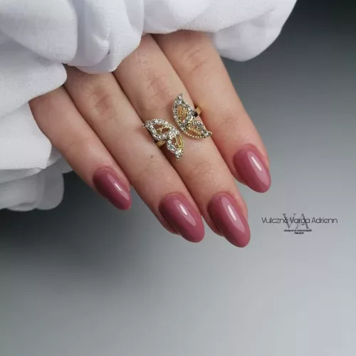 NTN Premium New - 24