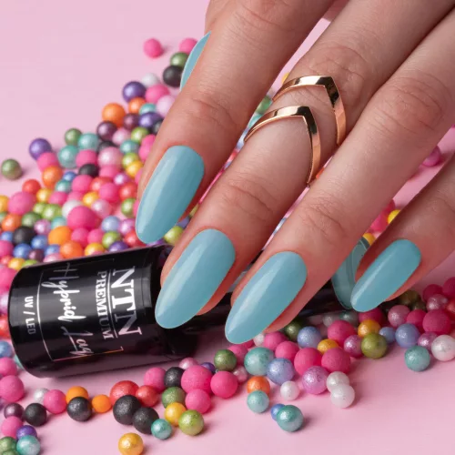 NTN Premium Milkshake 313