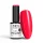 NTN Premium New - 139