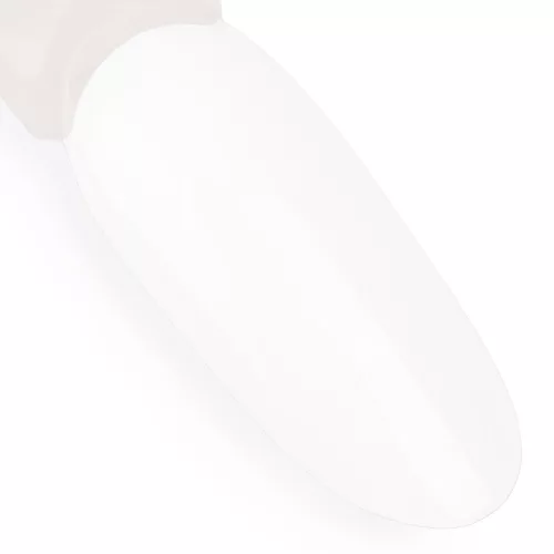NTN Premium New - 123