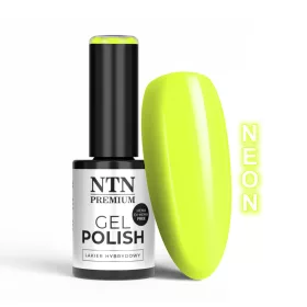 NTN Premium New - 144