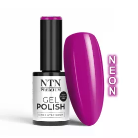 NTN Premium New - 41
