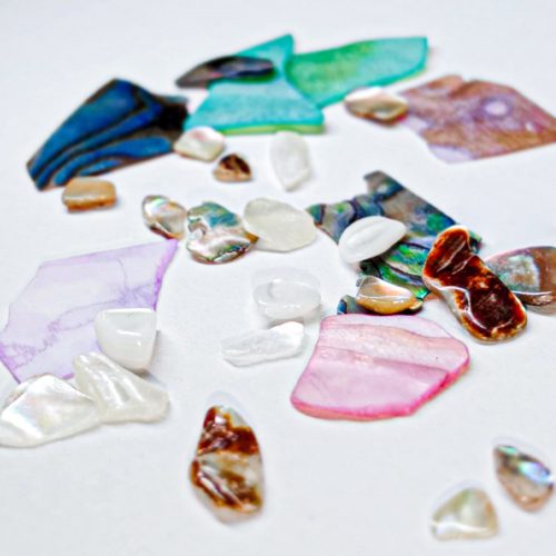  Törött kagylóhéj készlet Nr.1.