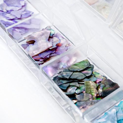  Törött kagylóhéj készlet Nr.4.