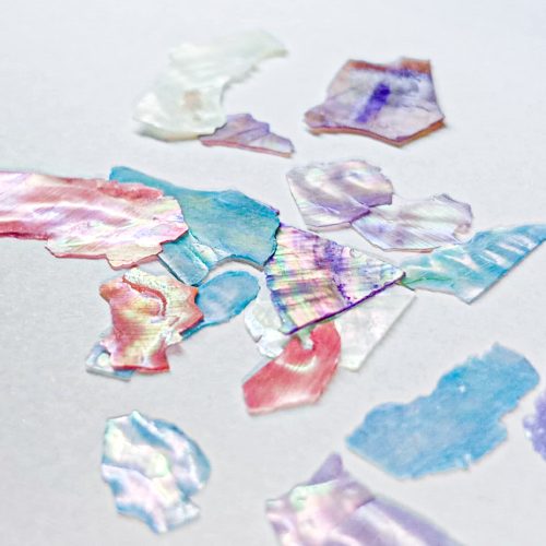  Törött kagylóhéj készlet Nr.4.