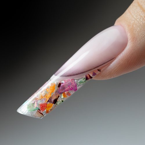  Törött kagylóhéj készlet Nr.4.