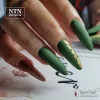 NTN Premium New - 76