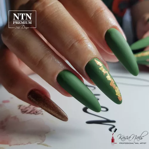 NTN Premium New - 76