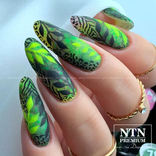 NTN Premium New - 76
