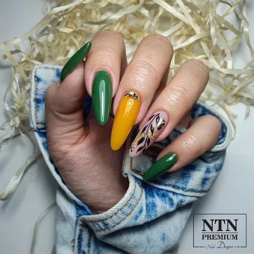 NTN Premium New - 76