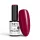 NTN Premium New - 171