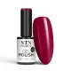 NTN Premium New - 171