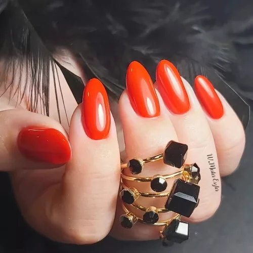 Claresa - Red 406