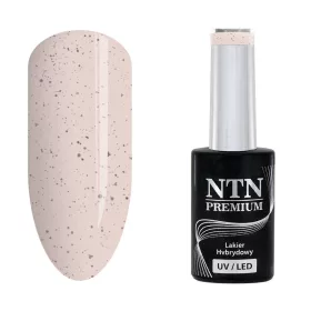 NTN Premium New - 181
