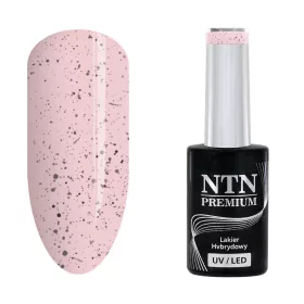 NTN Premium New - 185