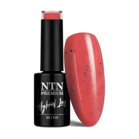 NTN Premium New - 187