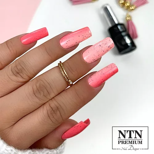 NTN Premium New - 188
