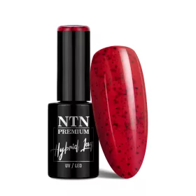 NTN Premium New - 189