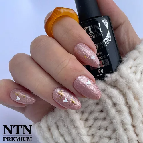 NTN Premium New - 199