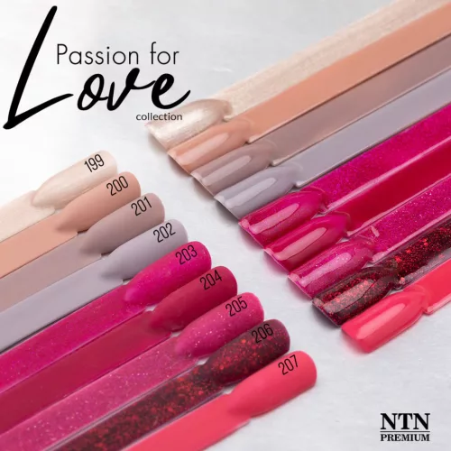 NTN Premium New - 200