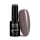 NTN Premium New - 201