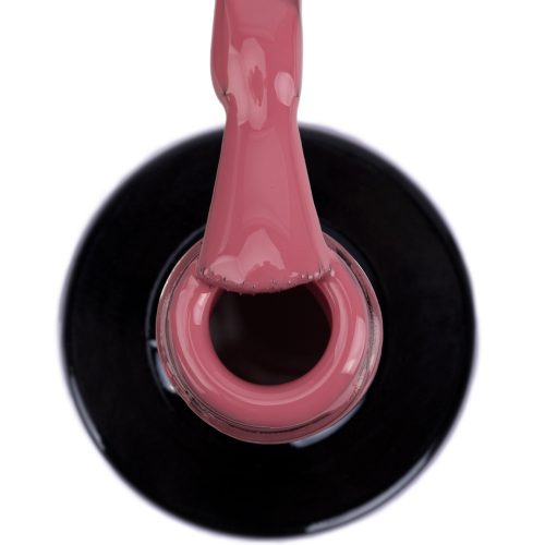 NTN Premium New - 212