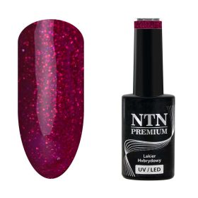 NTN Premium New - 213