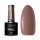 Claresa - Brown 304