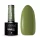 Claresa - Green 802