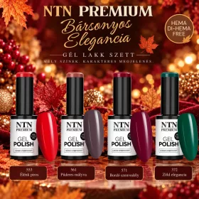 NTN- Bársonyos elegancia gél lakk szett