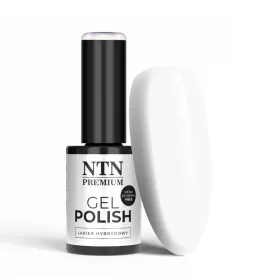 NTN Premium New - 01